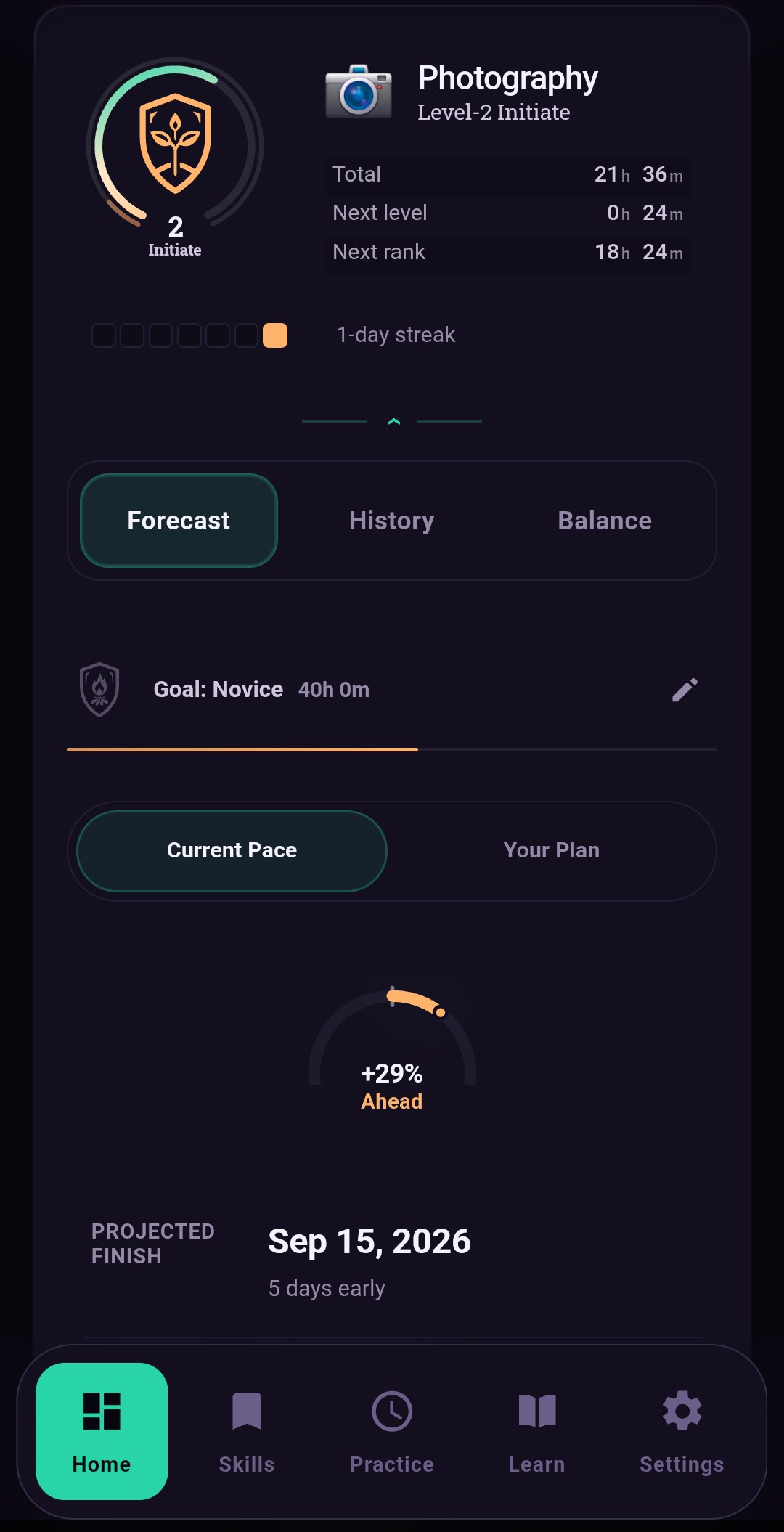 Skillmark forecast showing a hobby running twenty-nine percent ahead of plan with a projected finish date.